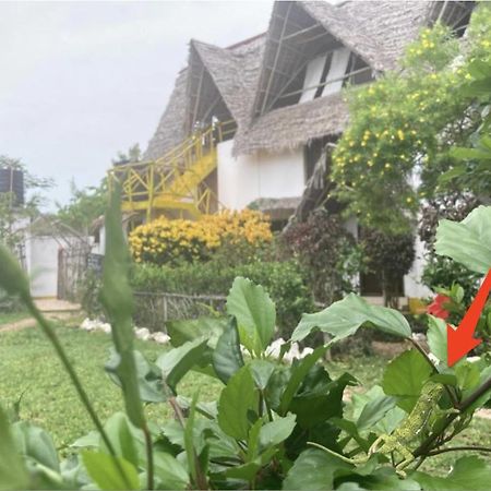 Botanica Eco Lodge Michamvi Kae Bagian luar foto