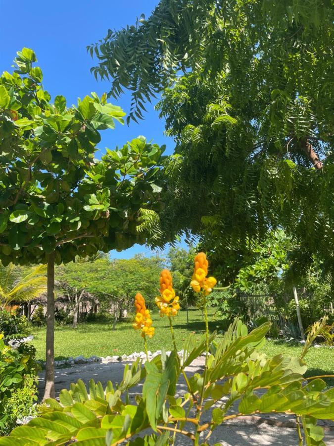 Botanica Eco Lodge Michamvi Kae Bagian luar foto