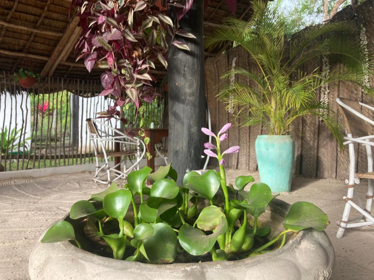 Botanica Eco Lodge Michamvi Kae Bagian luar foto