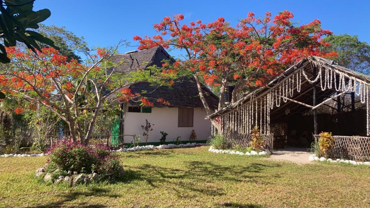 Botanica Eco Lodge Michamvi Kae Bagian luar foto