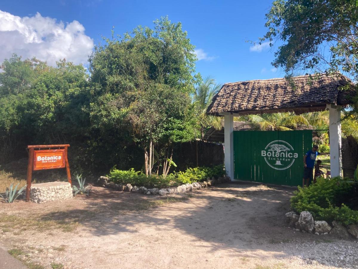 Botanica Eco Lodge Michamvi Kae Bagian luar foto