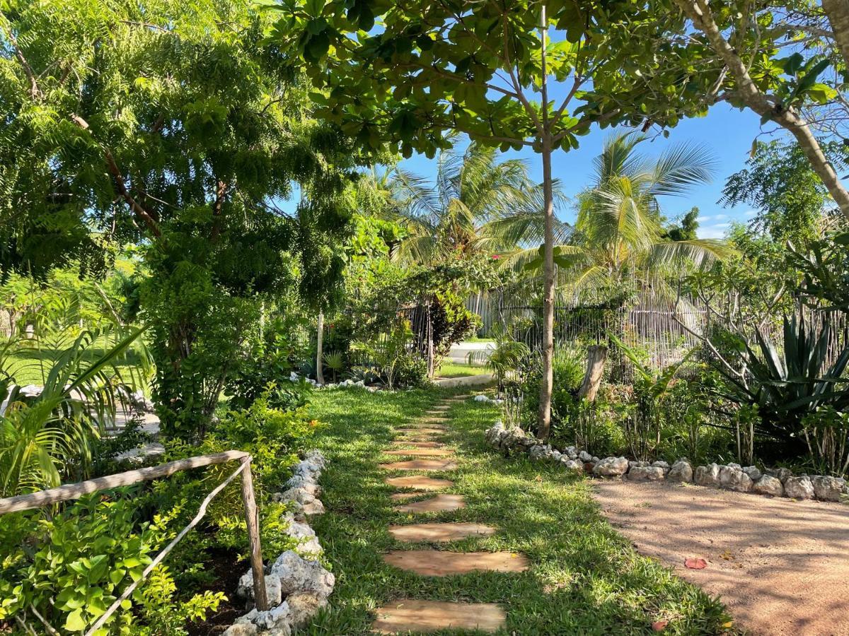 Botanica Eco Lodge Michamvi Kae Bagian luar foto