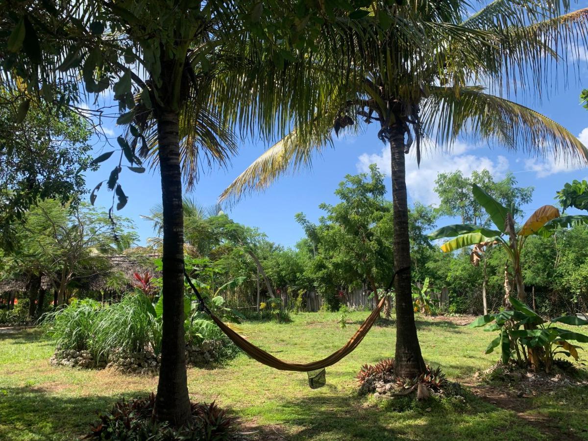 Botanica Eco Lodge Michamvi Kae Bagian luar foto